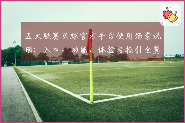 五大联赛买球官方平台使用场景说明：入口、功能、体验与指引全览