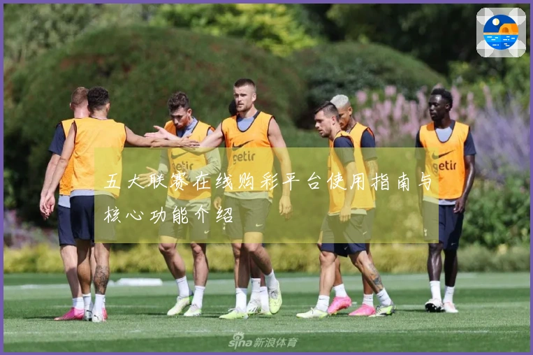 五大联赛在线购彩平台使用指南与核心功能介绍