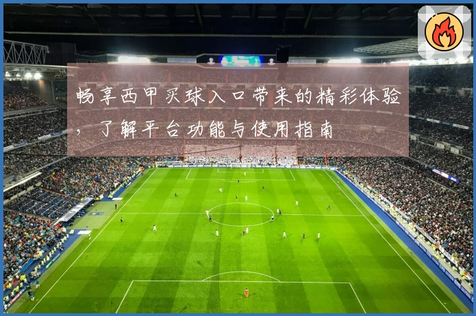 畅享西甲买球入口带来的精彩体验，了解平台功能与使用指南