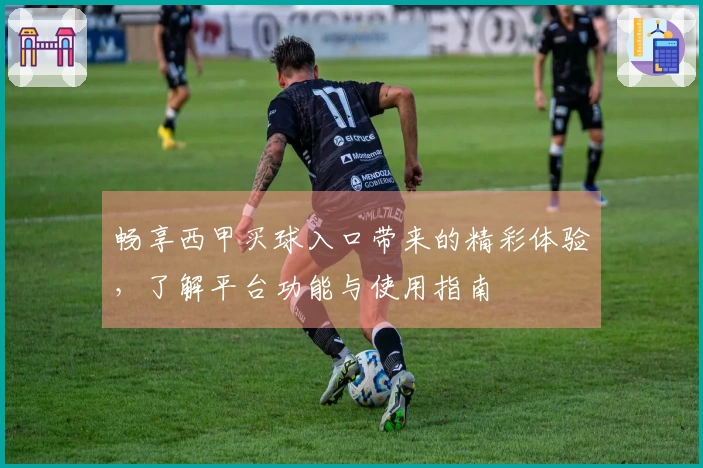 畅享西甲买球入口带来的精彩体验，了解平台功能与使用指南