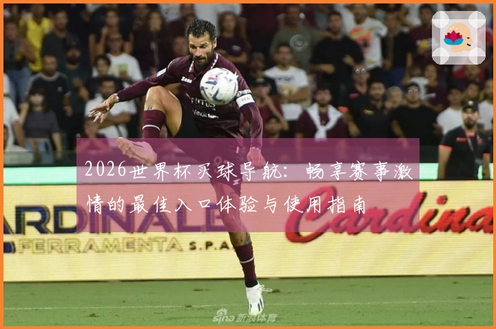 2026世界杯买球导航：畅享赛事激情的最佳入口体验与使用指南