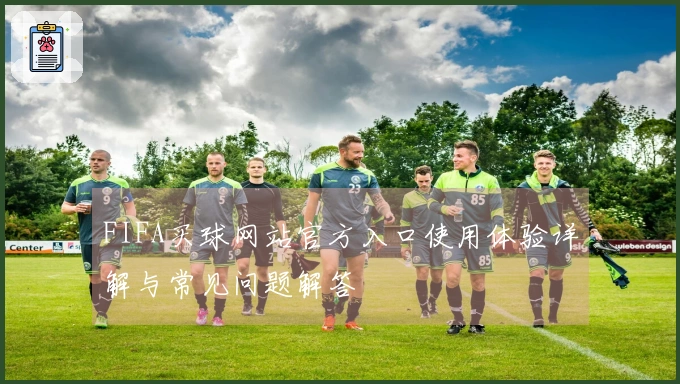 FIFA买球网站官方入口使用体验详解与常见问题解答