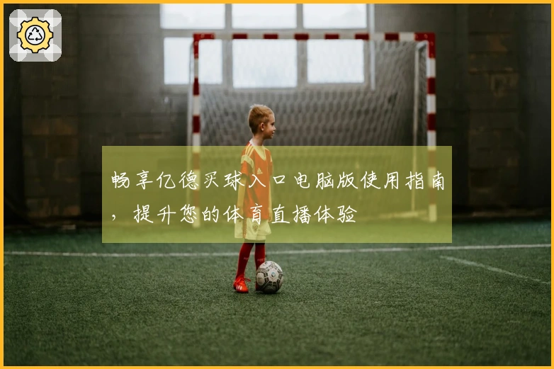 畅享亿德买球入口电脑版使用指南，提升您的体育直播体验